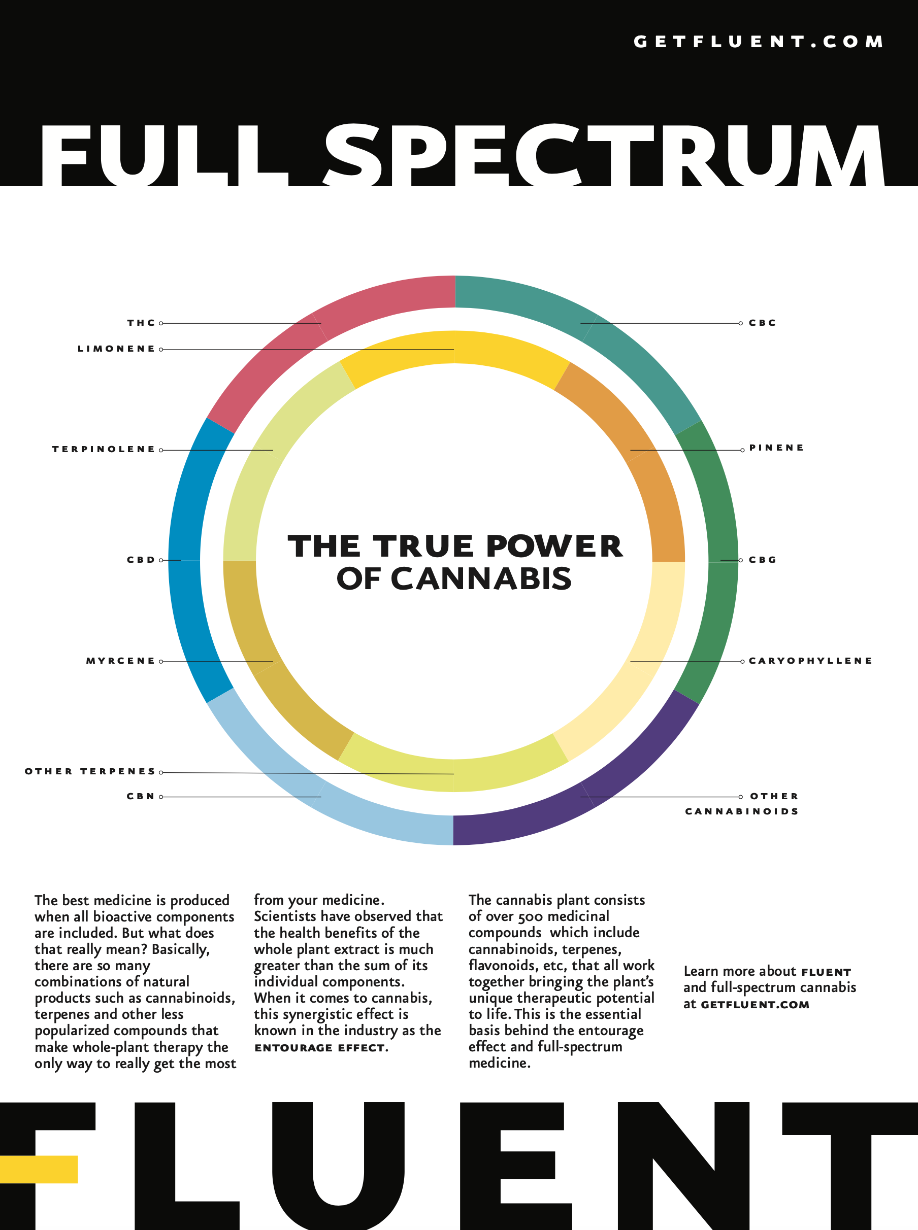 Full Spectrum: The True Power Of Cannabis