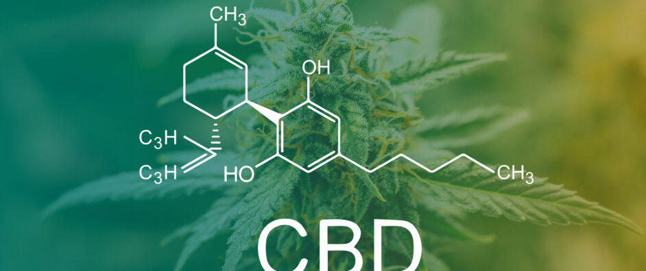 How Terpenes Work Together with CBD