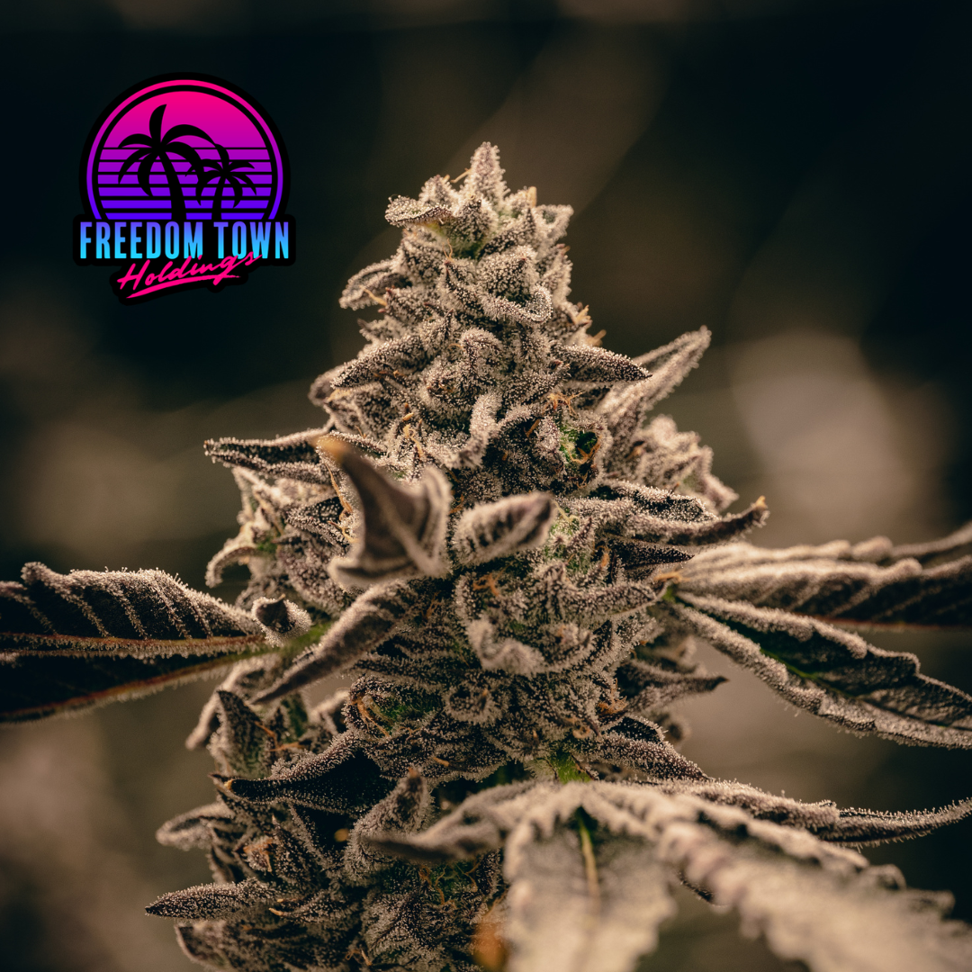 Black Jet Fuel - 1/8 oz (3.5 g)