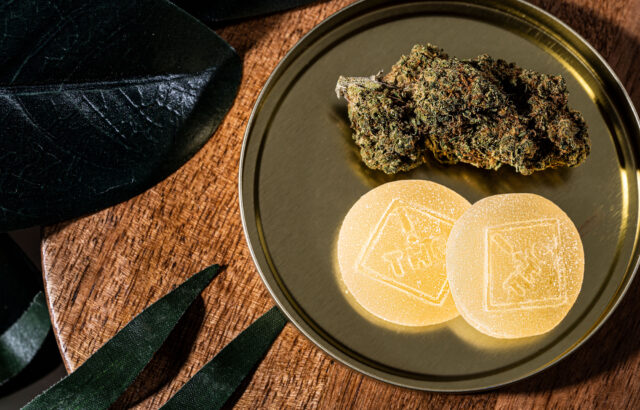 Cannabis & PTSD: The Best Cannabis Strains for Managing PTSD Relief