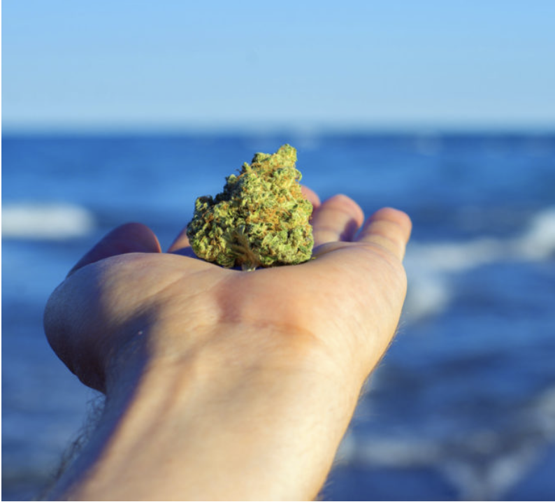 Cannabis For Daytime Energy