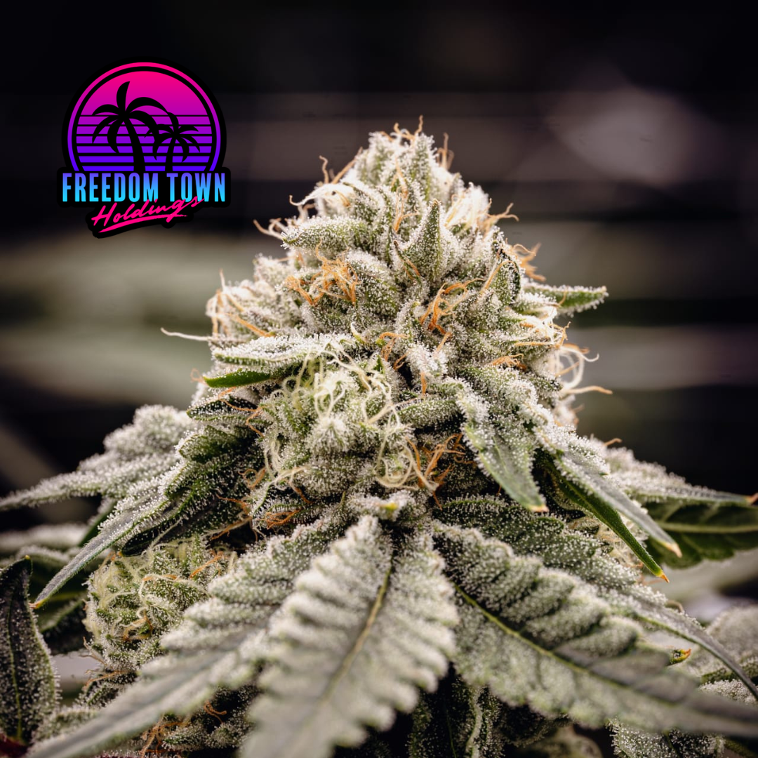 Rainbow Belts - 1/8 oz (3.5 g)