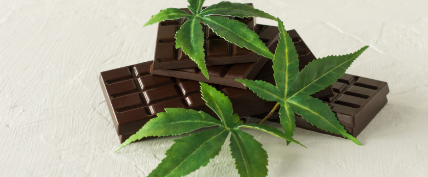 THC Chocolate Bars: Favorites, Effects, Flavor, and Dosing