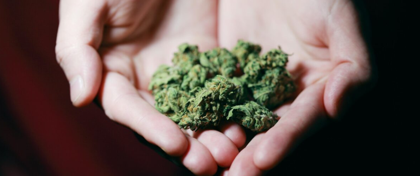 Welcoming May: Mental Health Awareness and the Therapeutic Potentials of Cannabis
