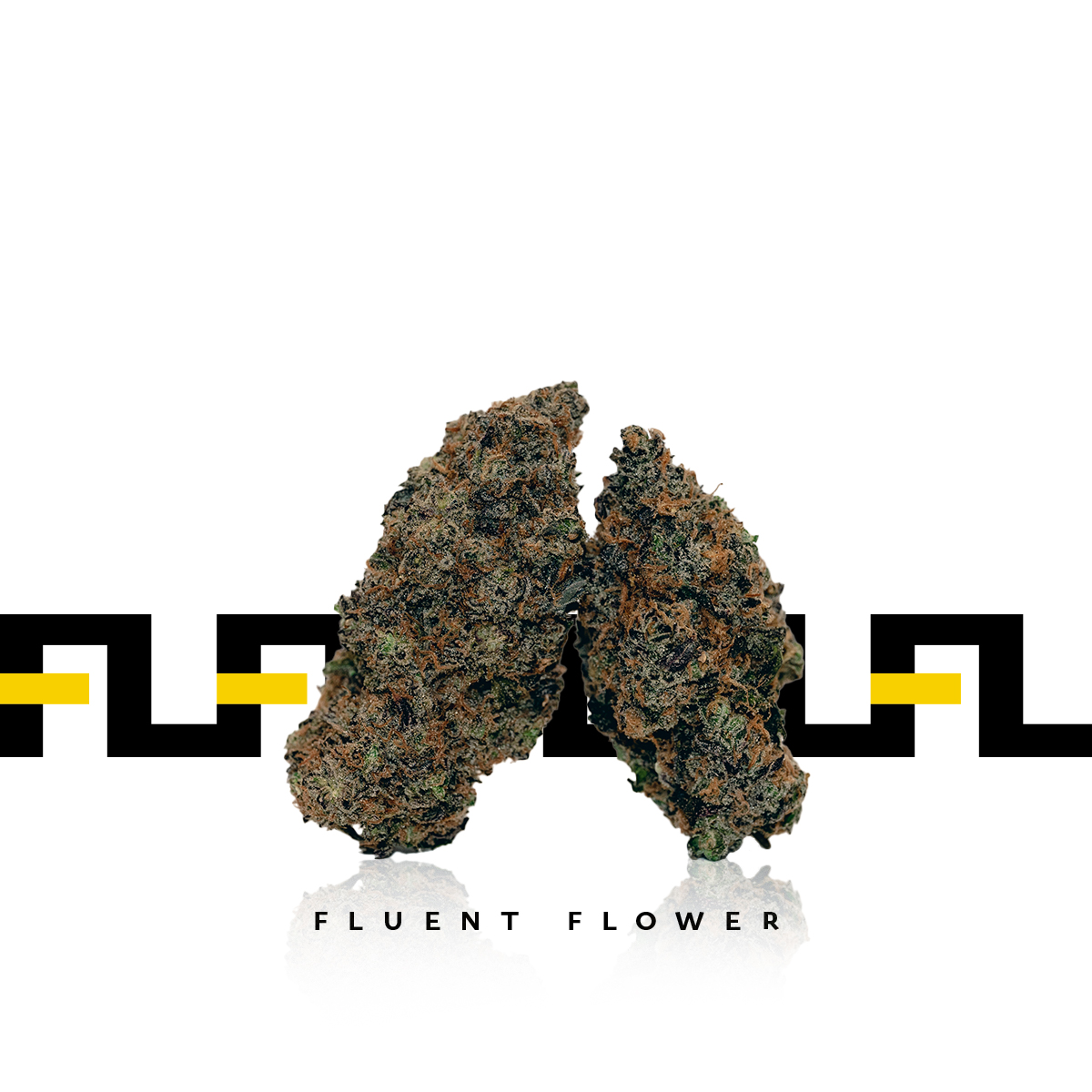 GMO - 1/8 oz (3.5 g)