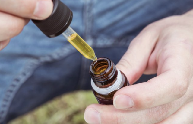 CBD Quality: Navigating Your CBD Options