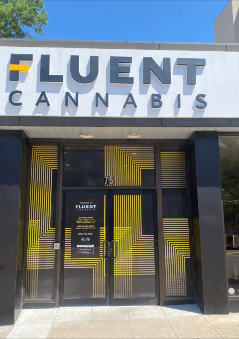 White Plains Dispensary