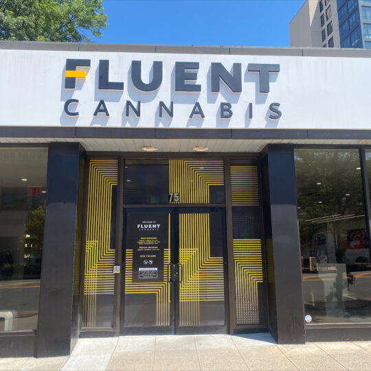 White Plains Dispensary