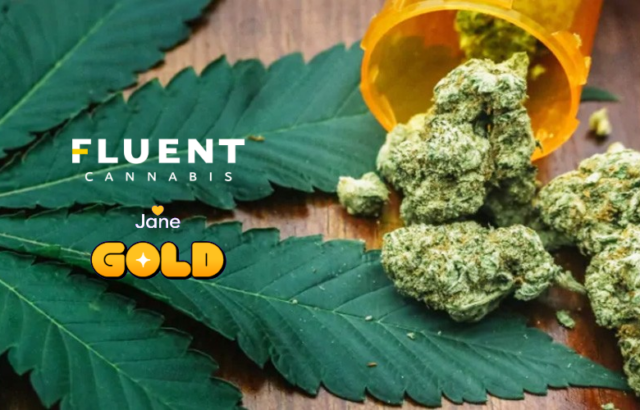 Real Cash Back, Effortless Rewards: Exclusive Medical Marijuana Perks with Jane Gold