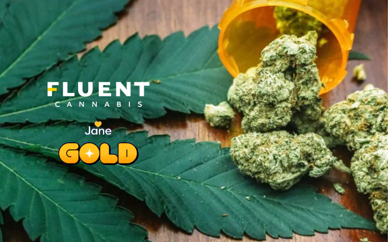 Real Cash Back, Effortless Rewards: Exclusive Medical Marijuana Perks with Jane Gold