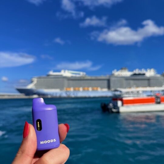 Cruising with Weed: Risks, Realities, and Tips for Cannabis Enthusiasts