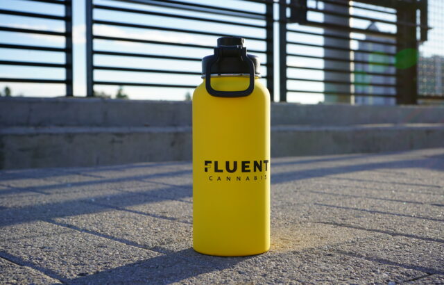 Big News: FLUENT's New Loyalty Program is Here