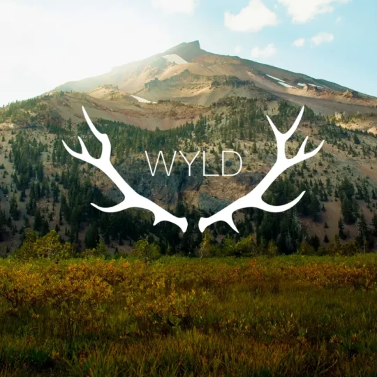Wyld