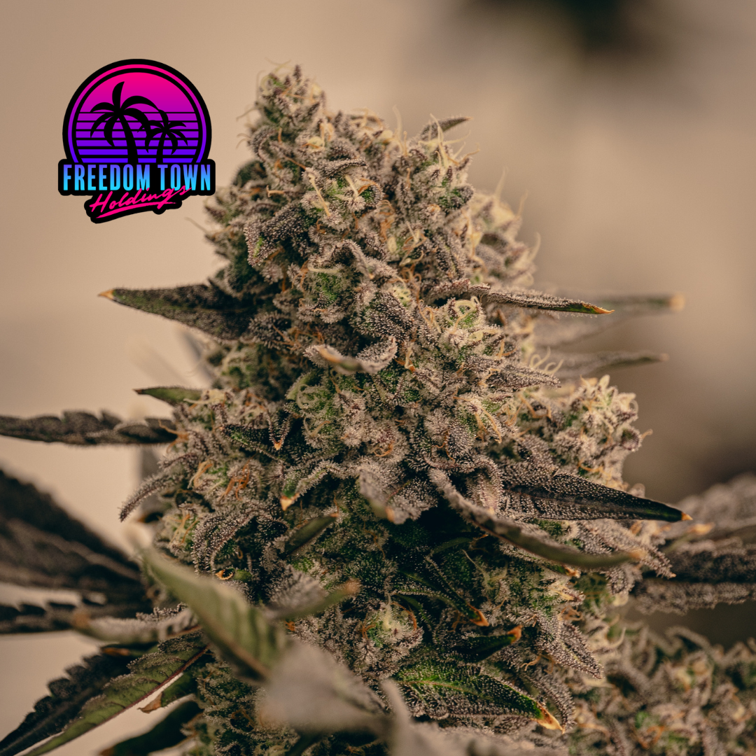 Babysita - 1/8 oz (3.5 g)