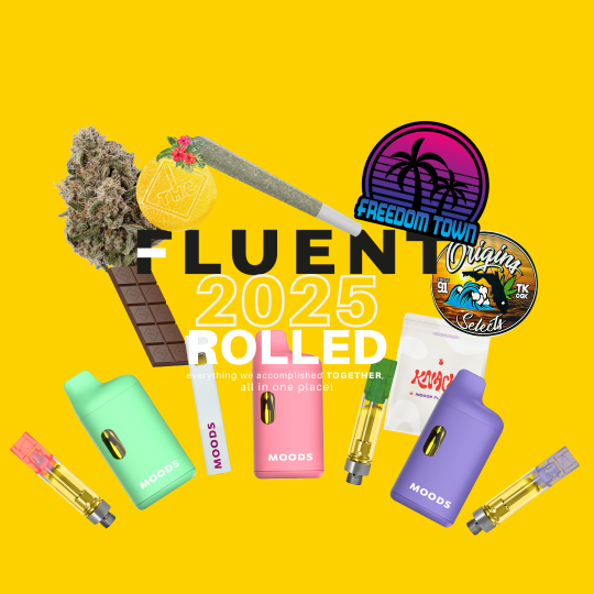 FLUENT 2025: Rolled - FLUENT FLUENT 2025: Rolled - FLUENT