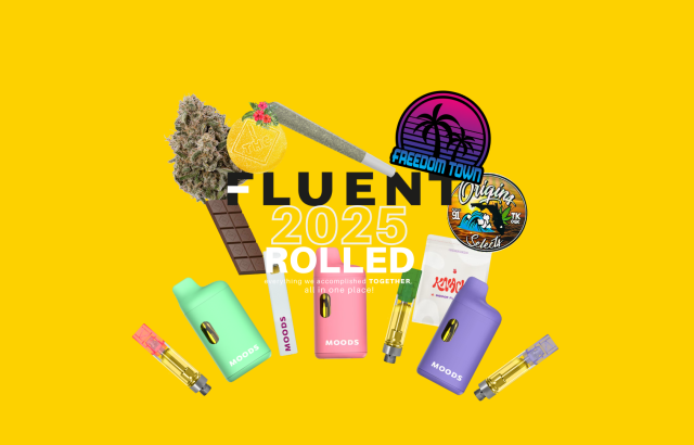 FLUENT 2025: Rolled