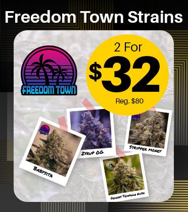 Shop Kimbo Kush | FLUENT - New Port Richey Dispensary New Port