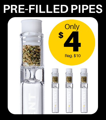 Shop Kimbo Kush | FLUENT - New Port Richey Dispensary New Port